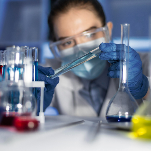 segmento de quimica